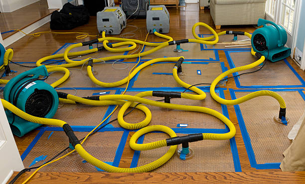 Professional Crawl Space Water Removal technician working in Orange, NJ